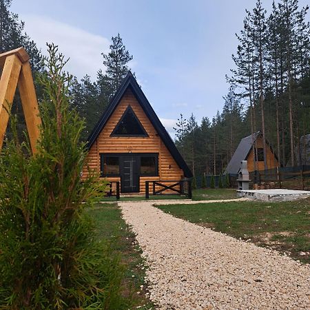 Pine Forest-Black Žabljak Extérieur photo
